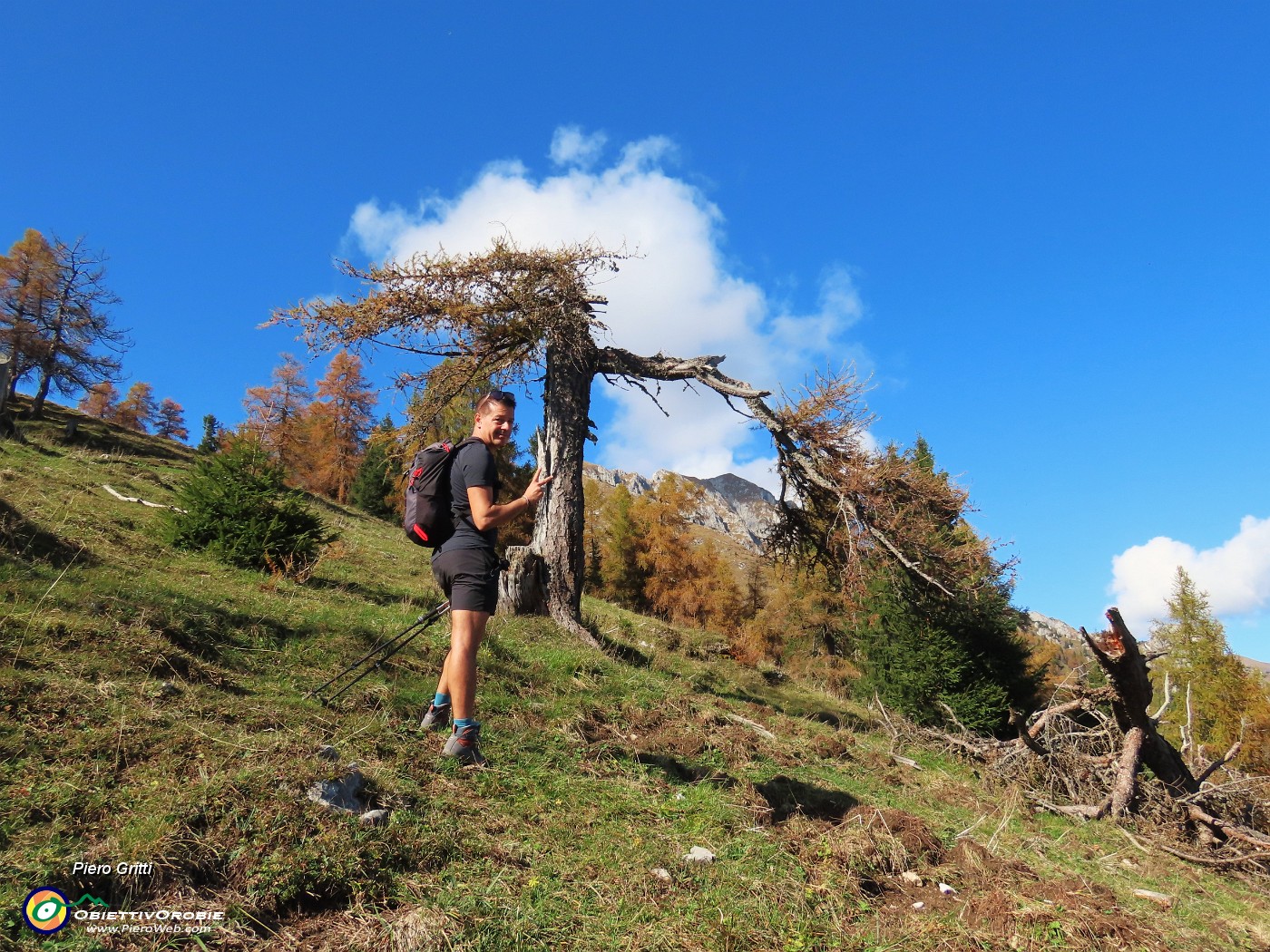 46 Sul sent. 118 in decisa salita con vista verso il Monte Secco tra i larici.JPG